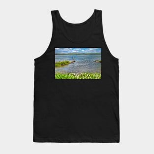 Trout Fishing in the Scottish Highlands Tank Top